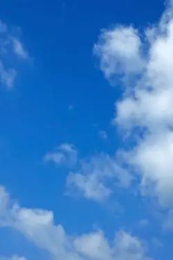 面白い動画ぶち込み用テンプレート