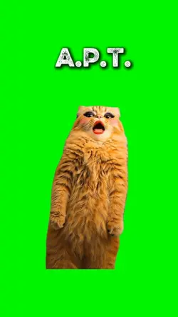 APT CAT