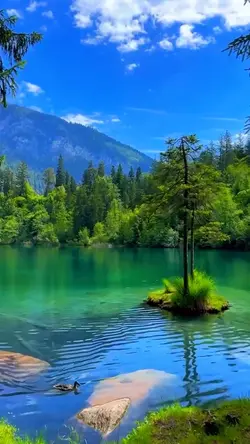 Nature vibes