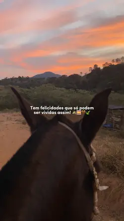 Tem felicidades 🤍