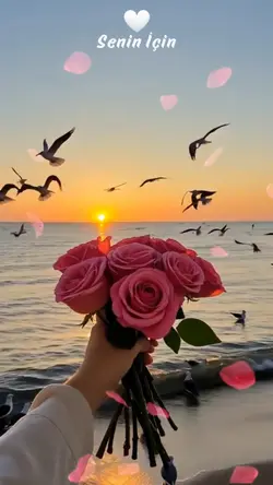Bu Güller Senin İçin