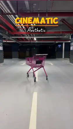 Aesthetic Editing