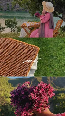 picnic piknik