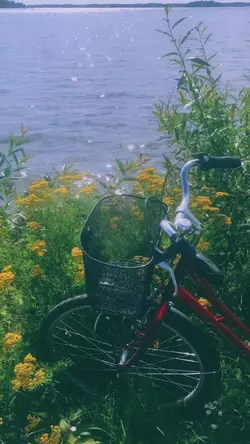 vintage vlog