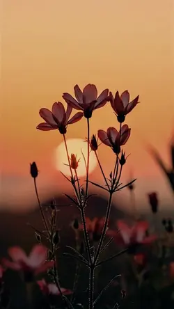 Spring is coming
