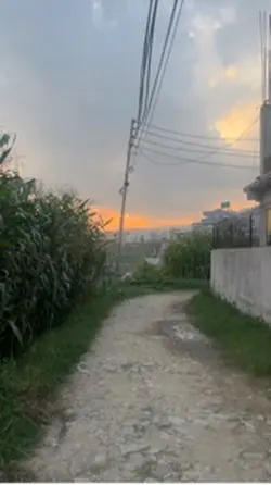Korean lines