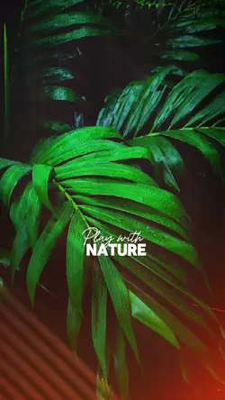 HD filter Nature