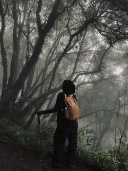 aesthetic