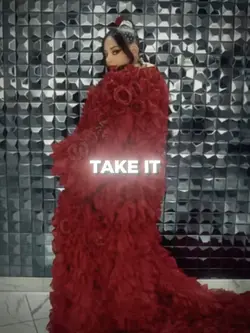 Take it love me 