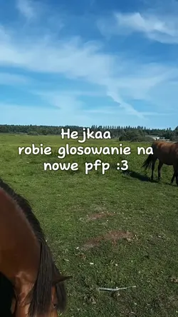 :3