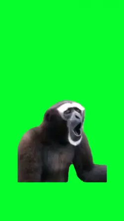 MONKEY SCREAMING