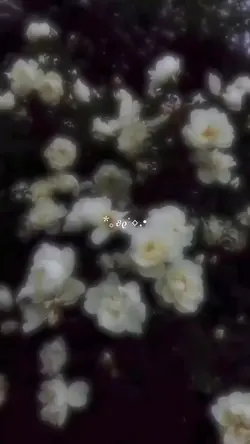儚い