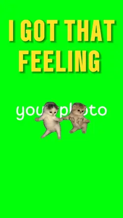 I GOT THAT FEELING 