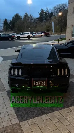 Shelby GT500 Edit