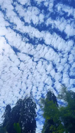 Cinematic Sky