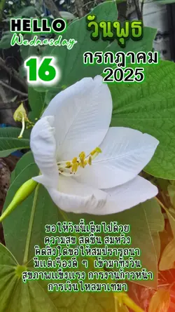 สวัสดีวันพุธ