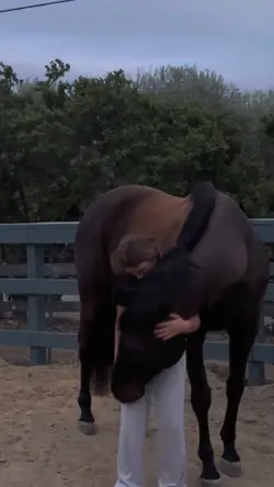 hug from smokeyy