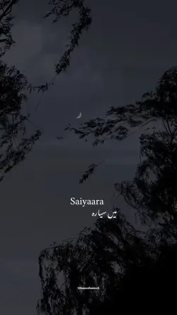 Saiyaara X Saiyaara