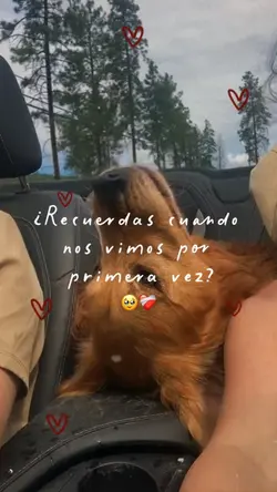 ¿Te acuerdas?🐶❤️🩹🥹