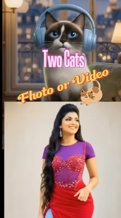Two Cats