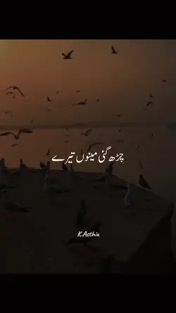 TikTok Trend 