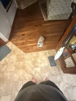 POV me 