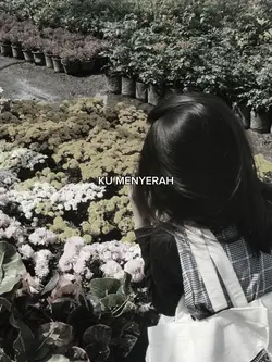 ku ingin pisah