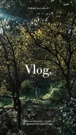vlog
