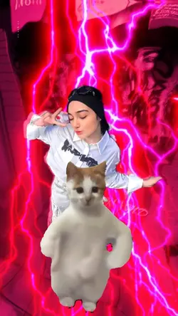 Kucing Joget