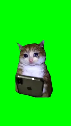 Cat Crying Meme