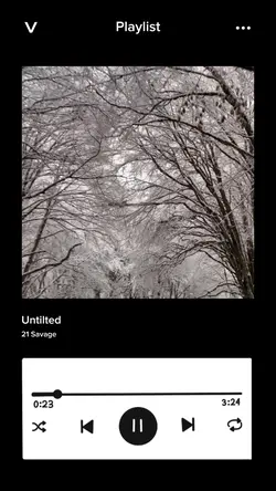 Album Cover Trend