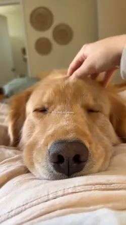 this and no stress