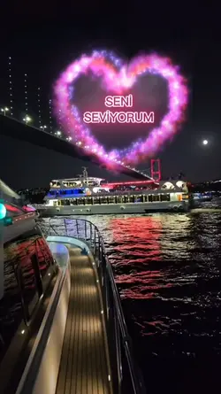 Seni Seviyorum