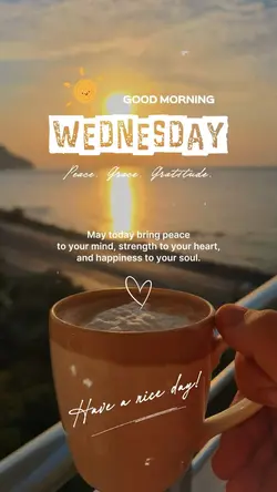 Wednesday Vibes 🤍