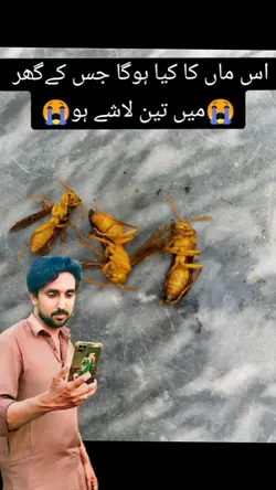 teen lashen