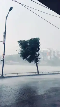 বৃষ্টি 