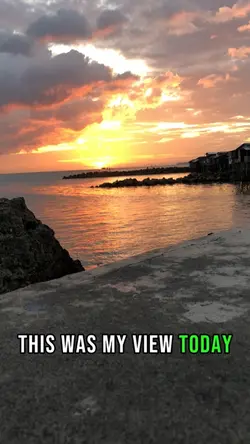 my view today