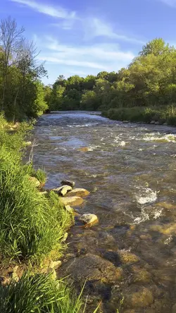 River Wood Canada 