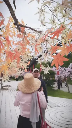 VideoxWallpaper