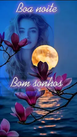 Boa noite 