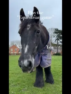 The “equestrian game