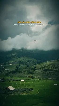 Thế mà lại hay