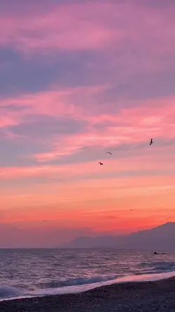 SUNSET ESTETIK✨