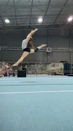 Gymnastics 