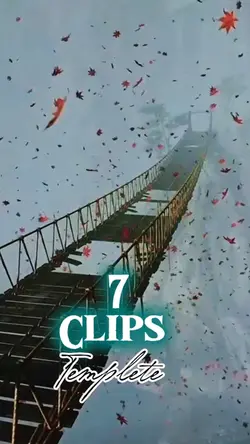 7 video or picture 
