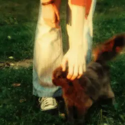 90s filmtone