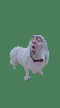 Dog barking meme