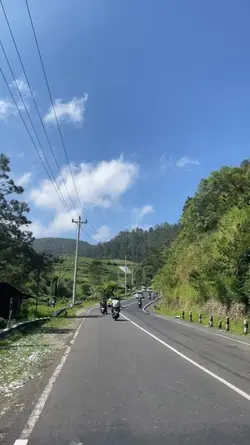 seperti alunan 