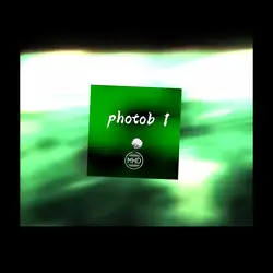 Put your pictures