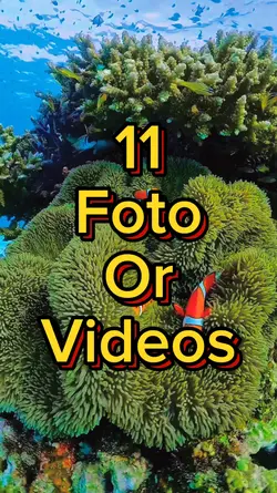 11 Video slide
